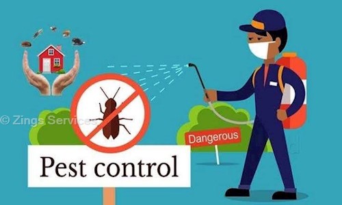 Zings Services - Pest Control in Nigdi, Pimpri Chinchwad