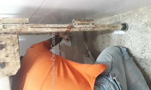 Rajdhani Pest Control - Pest Control in Khandagiri, Bhubaneswar