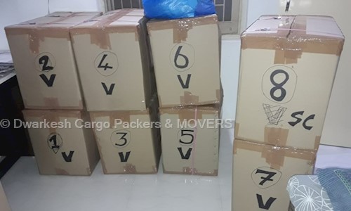 Dwarkesh Cargo Packers & MOVERS - Packers and Movers in Madhapar, Rajkot