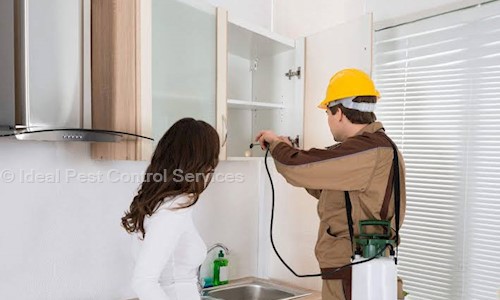 Ideal Pest Control Services - Pest Control in Chitaipur, Varanasi