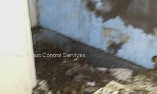 National Pest Control Services - Pest Control in Karnal Main Bazar, Karnal