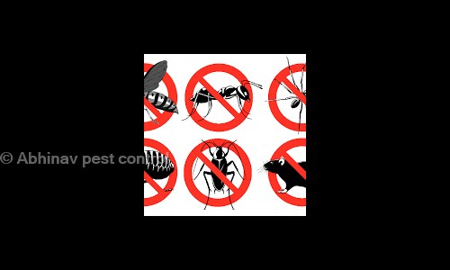 Abhinav Pest Control - Pest Control in Chikhali, Pimpri Chinchwad
