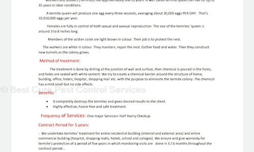Best Cure Pest Control Services - Pest Control in Andheri East, Mumbai