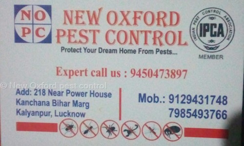 New Oxford pest control - Pest Control in Kalyanpur West, Lucknow