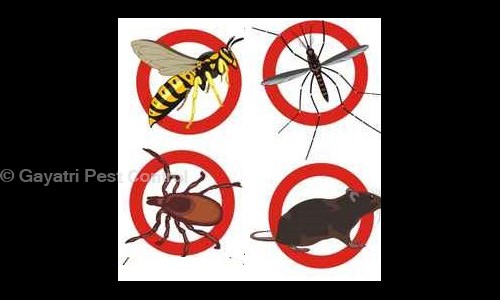 Gayatri Pest Control - Pest Control in Dhayari, Pune