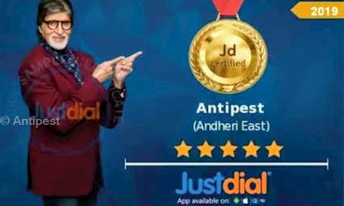 Antipest - Pest Control in Andheri East, Mumbai