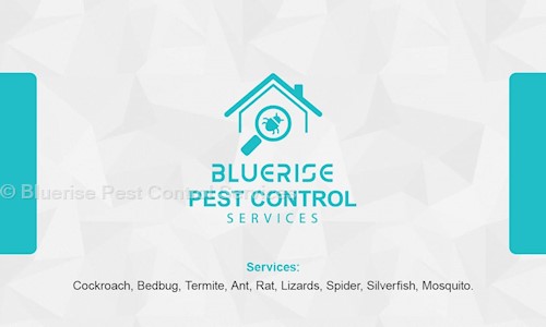 Bluerise Pest Control Services - Pest Control in Rahatani, Pune
