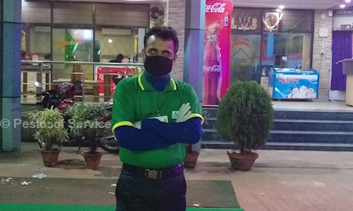 Pestosol Service - Pest Control in Entally, Kolkata