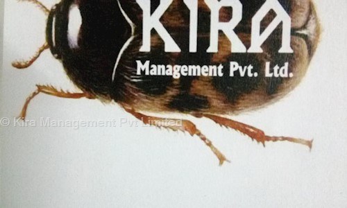 Kira Management Pvt Limited - Pest Control in Vaishali, Jaipur