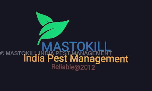 Mastokill India Pest Management - Pest Control in Ghatkopar East, Mumbai