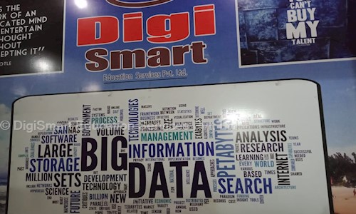 DigiSmart Education Services Pvt. Ltd. - Job Training in Shalimar Bagh, Delhi