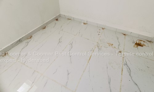 Coomar & Coomar Pest Control Services - Termite control expert - Hyderabad - Pest Control in Ramanthapur, Hyderabad