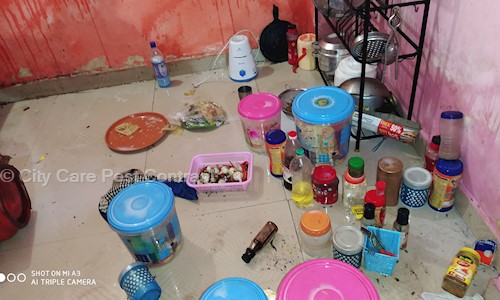 City Care Pest Contraol - Pest Control in Hadapsar, Pune