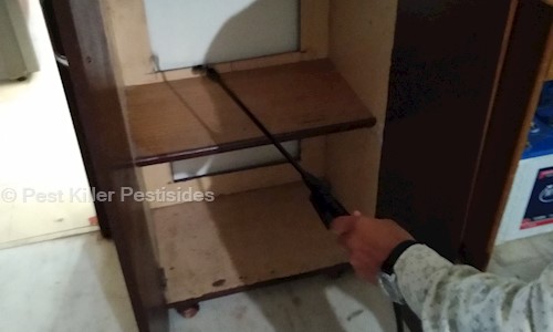 Pest Killer Pestisides - Pest Control in Swargate, Pune