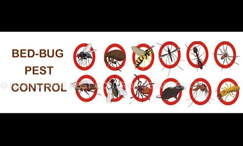 MANUSHREE PEST CONTROL SERVICES - Pest Control in Airoli, Mumbai