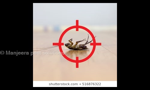 Manjeera pest solutions - Pest Control in Uppuguda, Hyderabad