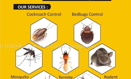 UMBAR-Safety Pest Control Management - Pest Control in Bavdhan, Pune