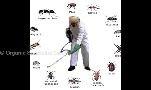 Organic Specialist Service - Pest Control in Mahadevapura, Bangalore