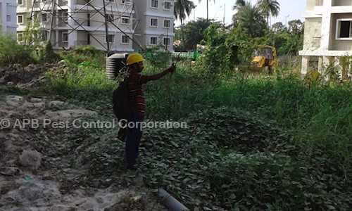 APB Pest Control Corporation - Pest Control in Khidderpore, Kolkata