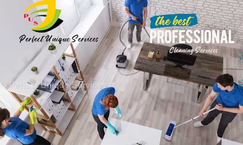 Perfect Unique Services - Pest Control in University Campus Road, Nagpur