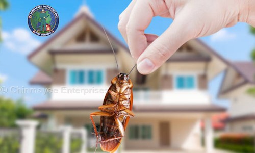 Chinmayee Enterprises - Pest Control in Dakshina Kannada, Mangalore