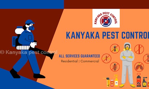 Kanyaka Pest Control - Pest Control in Tilak Maidan, Chandrapur