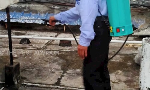 THE PEST ADVISOR - Pest Control in South Dumdum, Kolkata