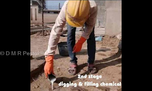 D M R Pestokill - Pest Control in Rajaji Nagar, Bangalore