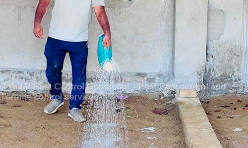 SLMI Pest Control Gorakhpur - Best Pest control and Termite control services - Pest Control in Gorakhpur, Gorakhpur