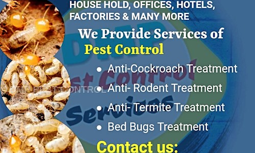 DMP PEST CONTROL - Pest Control in Mayurbhanj, Baripada