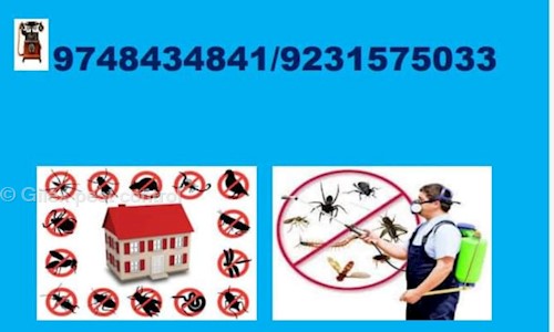 Gilex pest control  - Pest Control in Kalighat, Kolkata