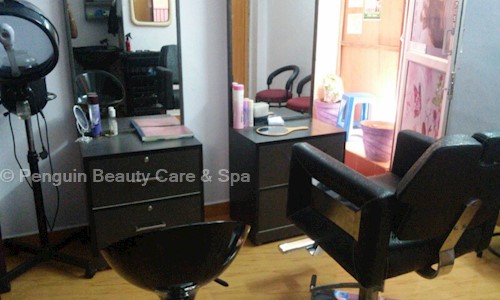 Penguin Beauty Care & Spa - Job Training in Velachery, Chennai