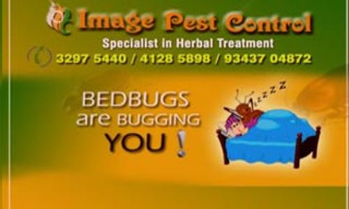 Image Pest Control - Pest Control in Rajaji Nagar, Bangalore