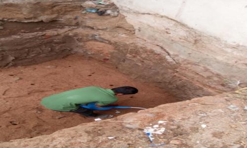 SVS Pest Control - Pest Control in P.K. Layout, Tirupati