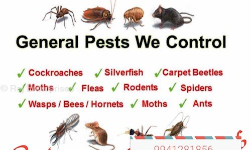 Raj Enterprises - Pest Control in Parrys, Chennai