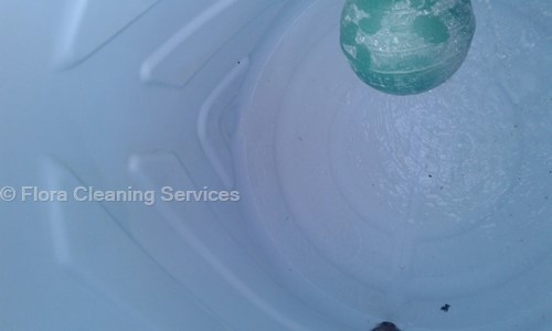 Flora Cleaning Services - Pest Control in Mahanagar, Lucknow