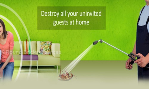 Round Bricks Services - Pest Control in Yeshwanthpur, Bangalore