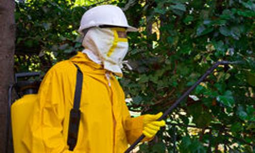 Krishna Pest Control Services - Pest Control in Meghani Nagar, Ahmedabad