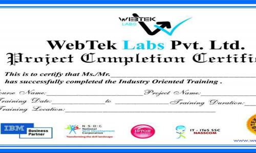 Webtek Labs Pvt. Ltd. - Job Training in Rajouri Garden, Delhi