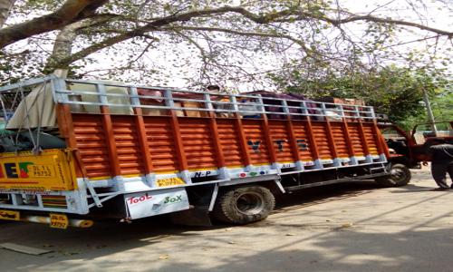 Classic Packers & Movers - Packers and Movers in Yusuf Sarai, delhi