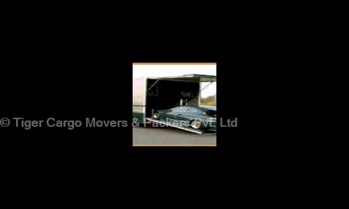 Tiger Cargo Movers & Packers Pvt. Ltd. - Packers and Movers in Ulkanagari, Aurangabad