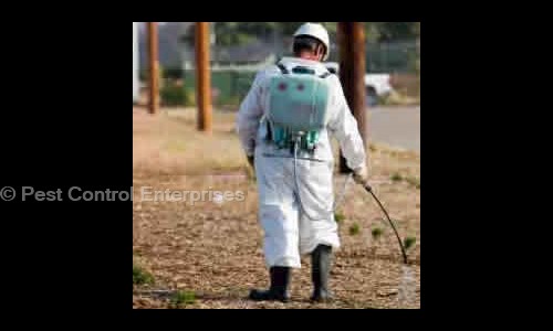 Pest Control Enterprises - Pest Control in Ellis Bridge, Ahmedabad