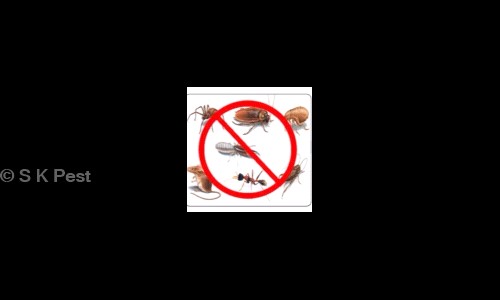 S K Pest - Pest Control in Sector 22B, Chandigarh