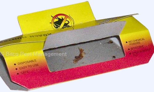 Bitco Pest Management - Pest Control in Satellite, Ahmedabad