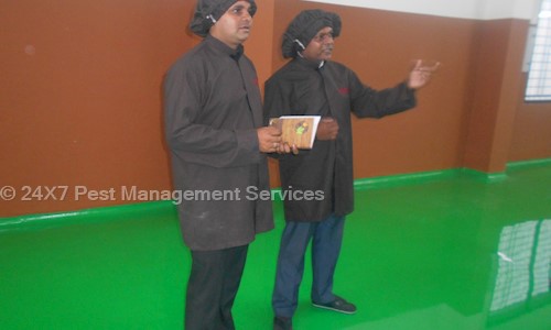 24X7 Pest Management Services - Pest Control in Aurangpura, Aurangabad