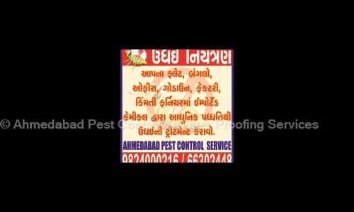 Ahmedabad Pest Control & Water Proofing Services - Pest Control in Navrangpura, Ahmedabad
