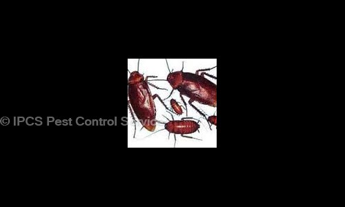 IPCS Pest Control Service - Pest Control in Jawahar Nagar, Jaipur