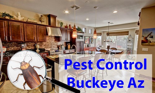 Amarnath S  - Pest Control in Warasiguda, Hyderabad