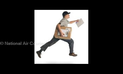 National Air Courier - Packers and Movers in Malviya Nagar, Delhi
