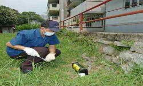 Pest Ban Pest Control Services - Pest Control in Nana Peth, Pune